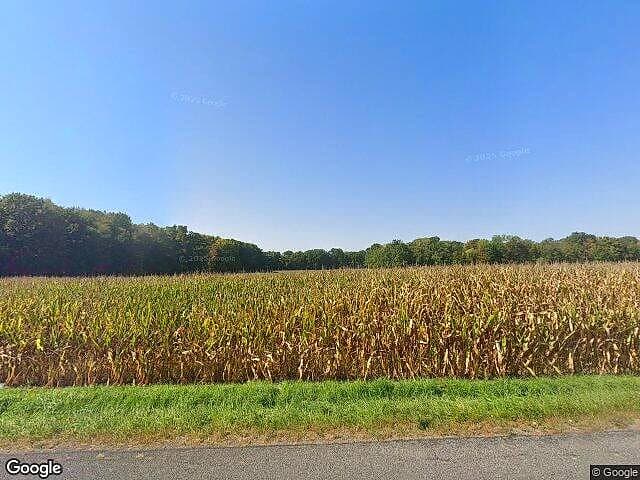 Autumn Wood — satellite view