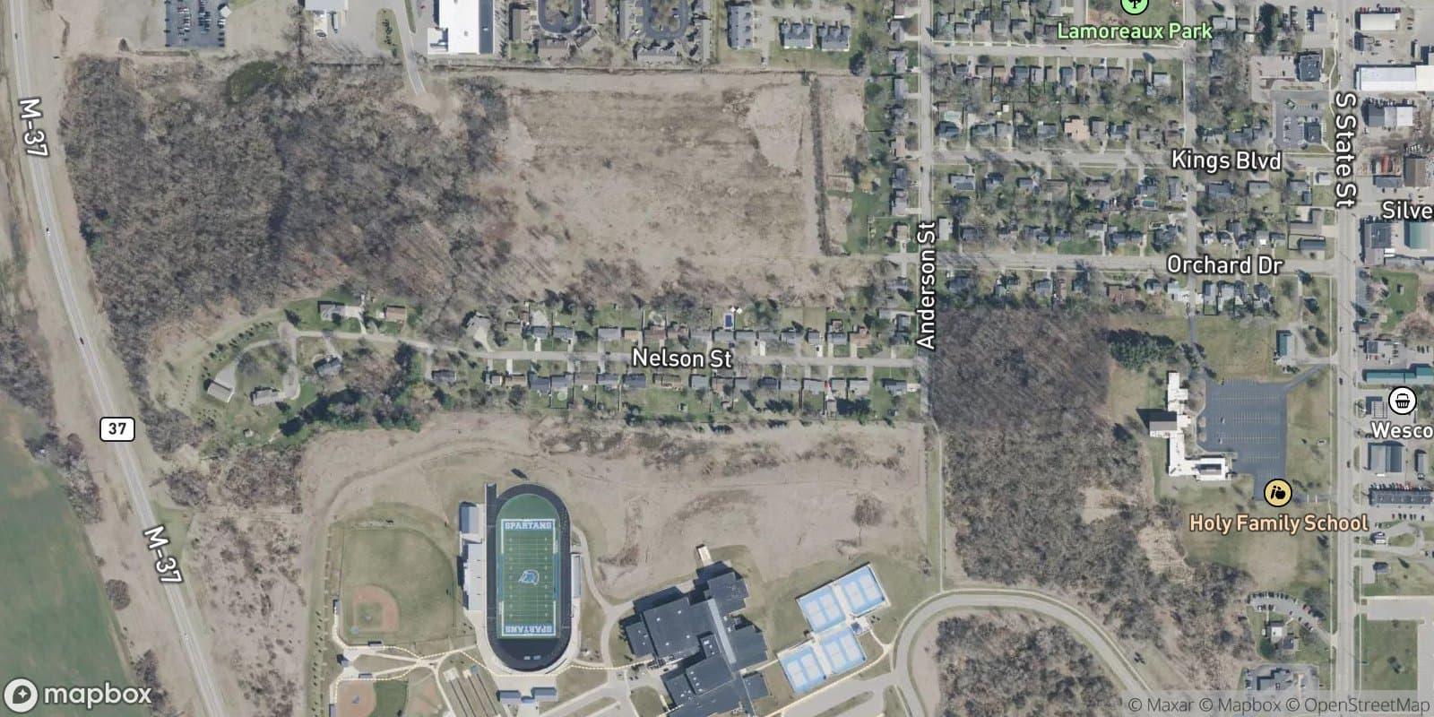 Nelson Saur Add. — satellite view