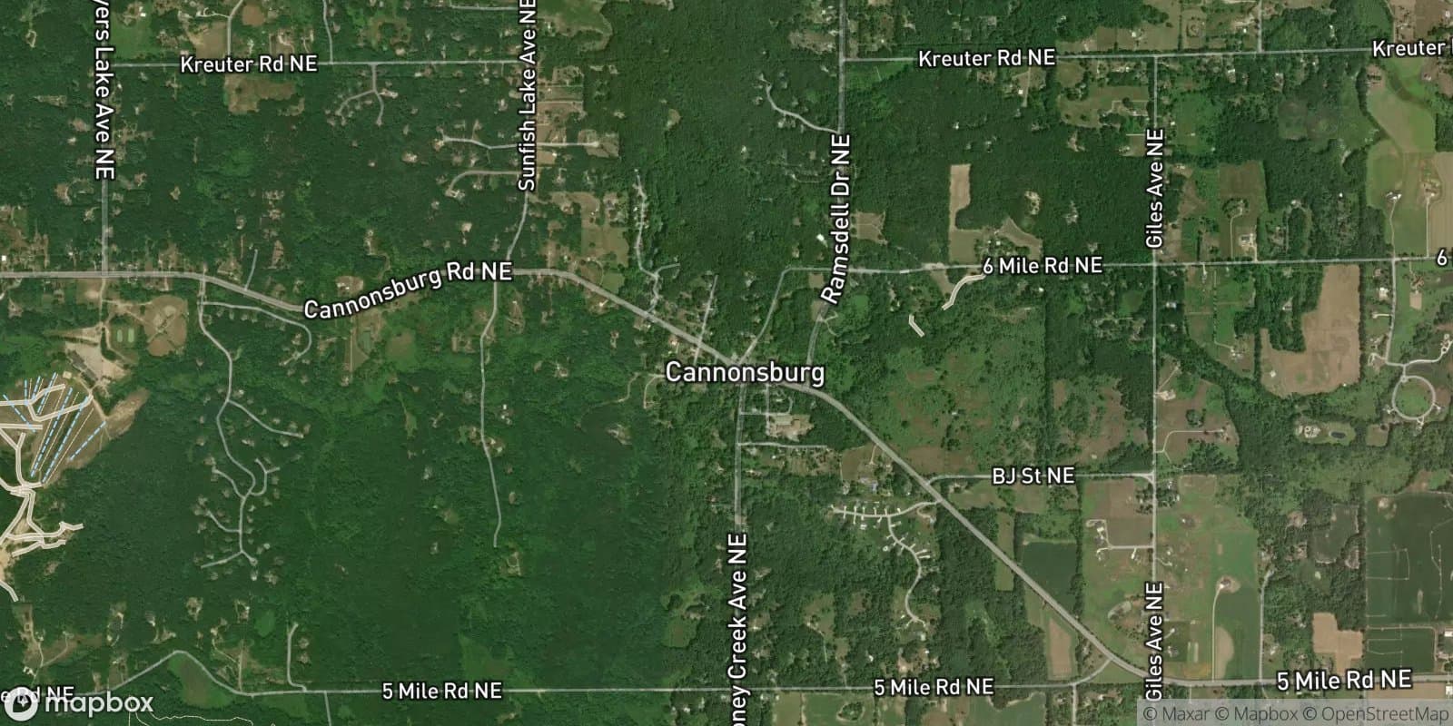 Village of Cannonsburg — satellite view