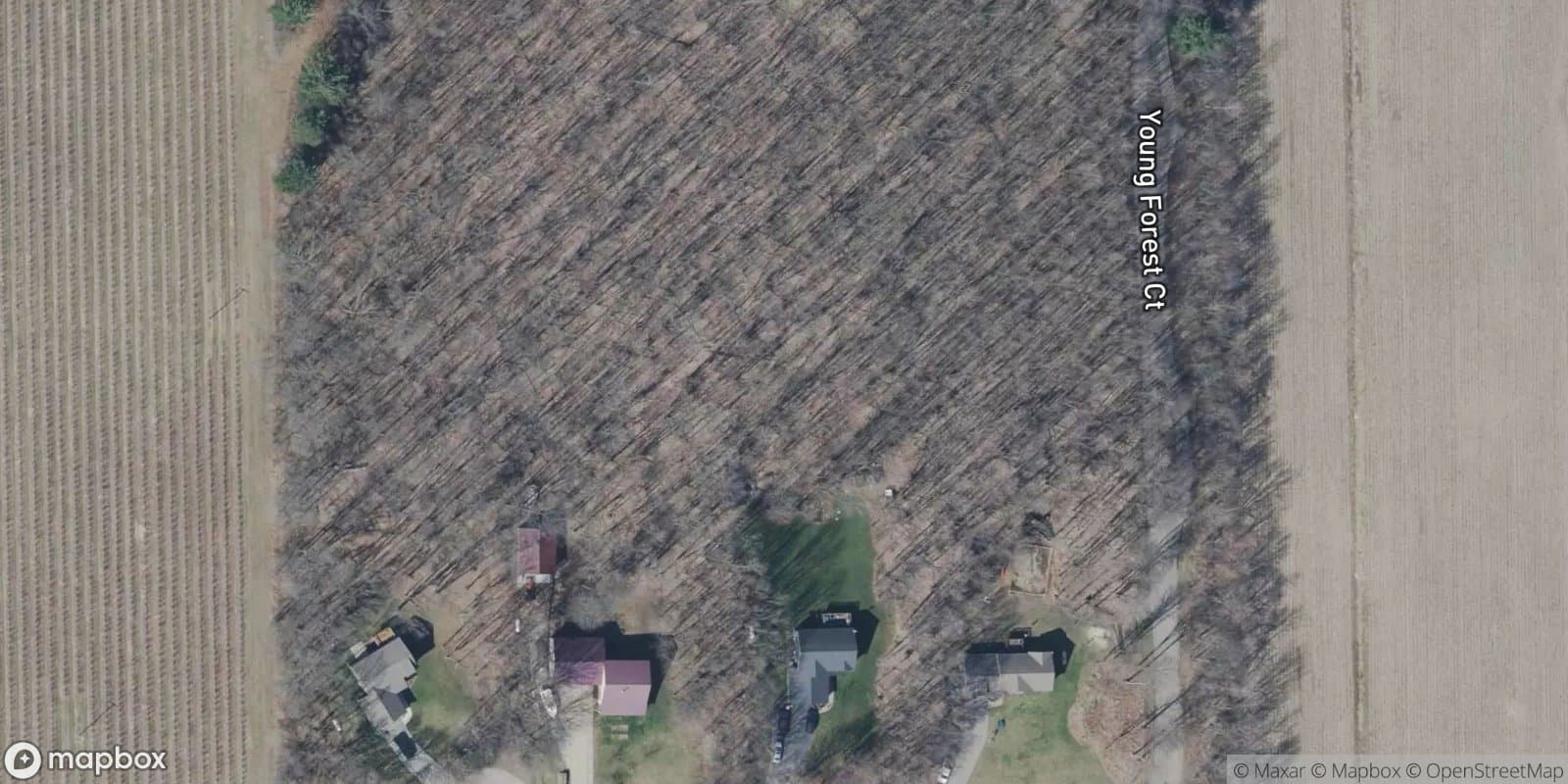 Young Forest Estates — satellite view