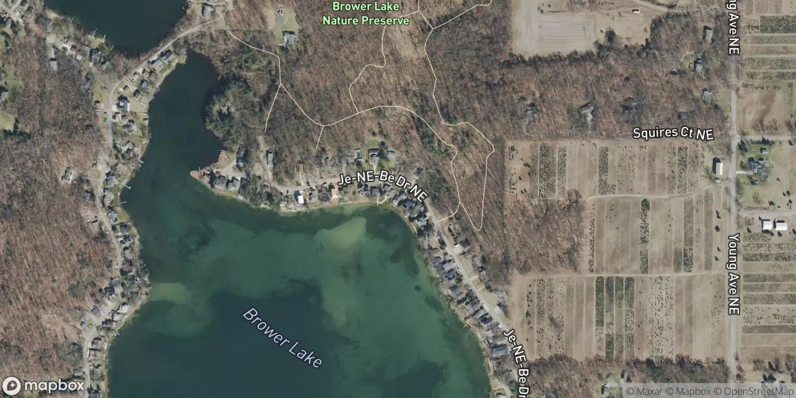 Brower Lake Park No.1 — satellite view