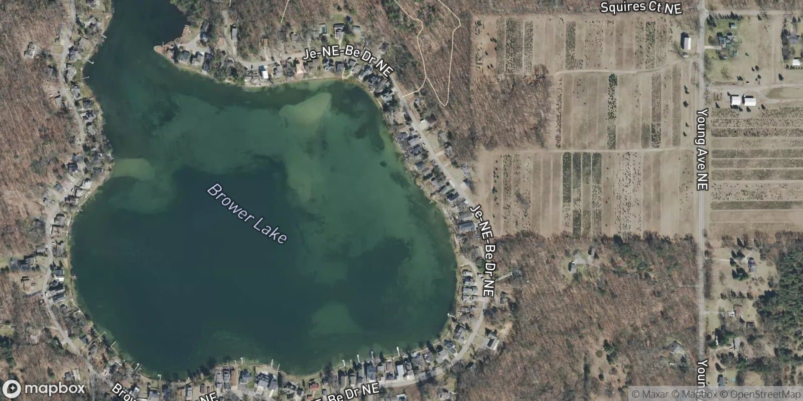Brower Lake Park — satellite view