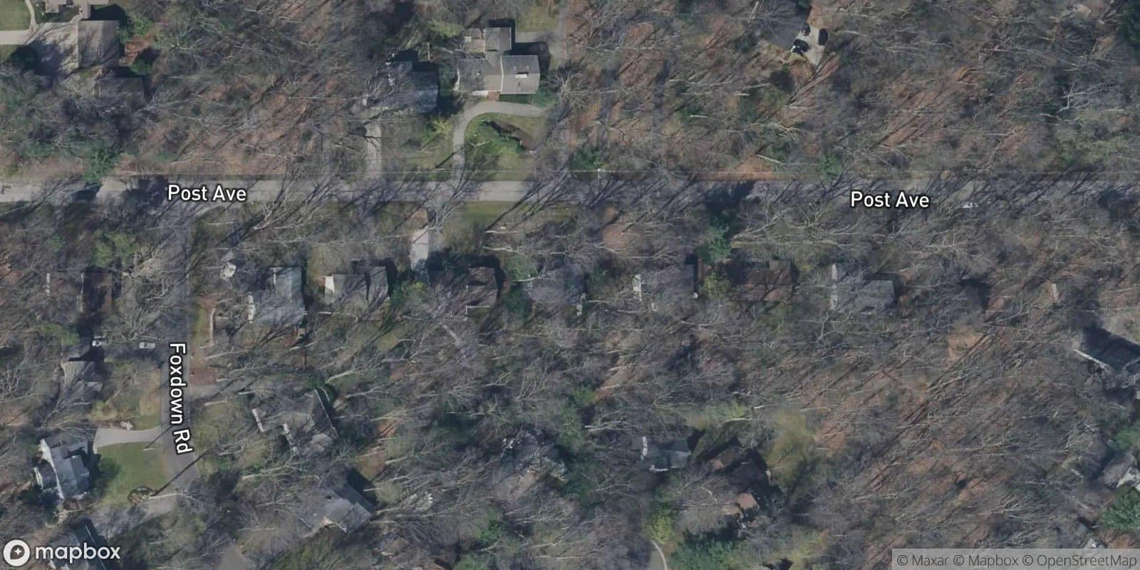 Beechtree Forest No 1 — satellite view