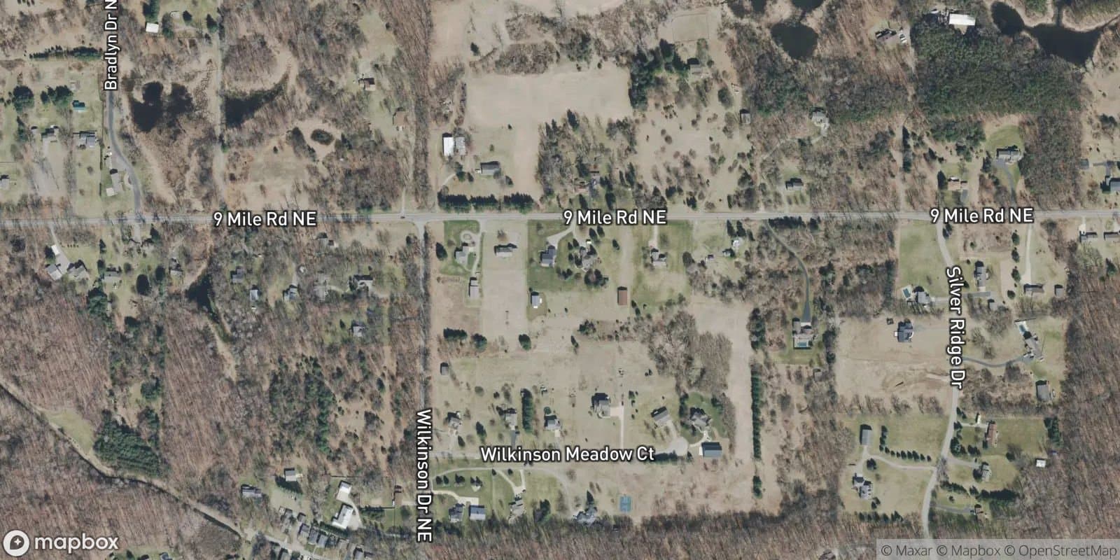 Wilkinson Meadows — satellite view