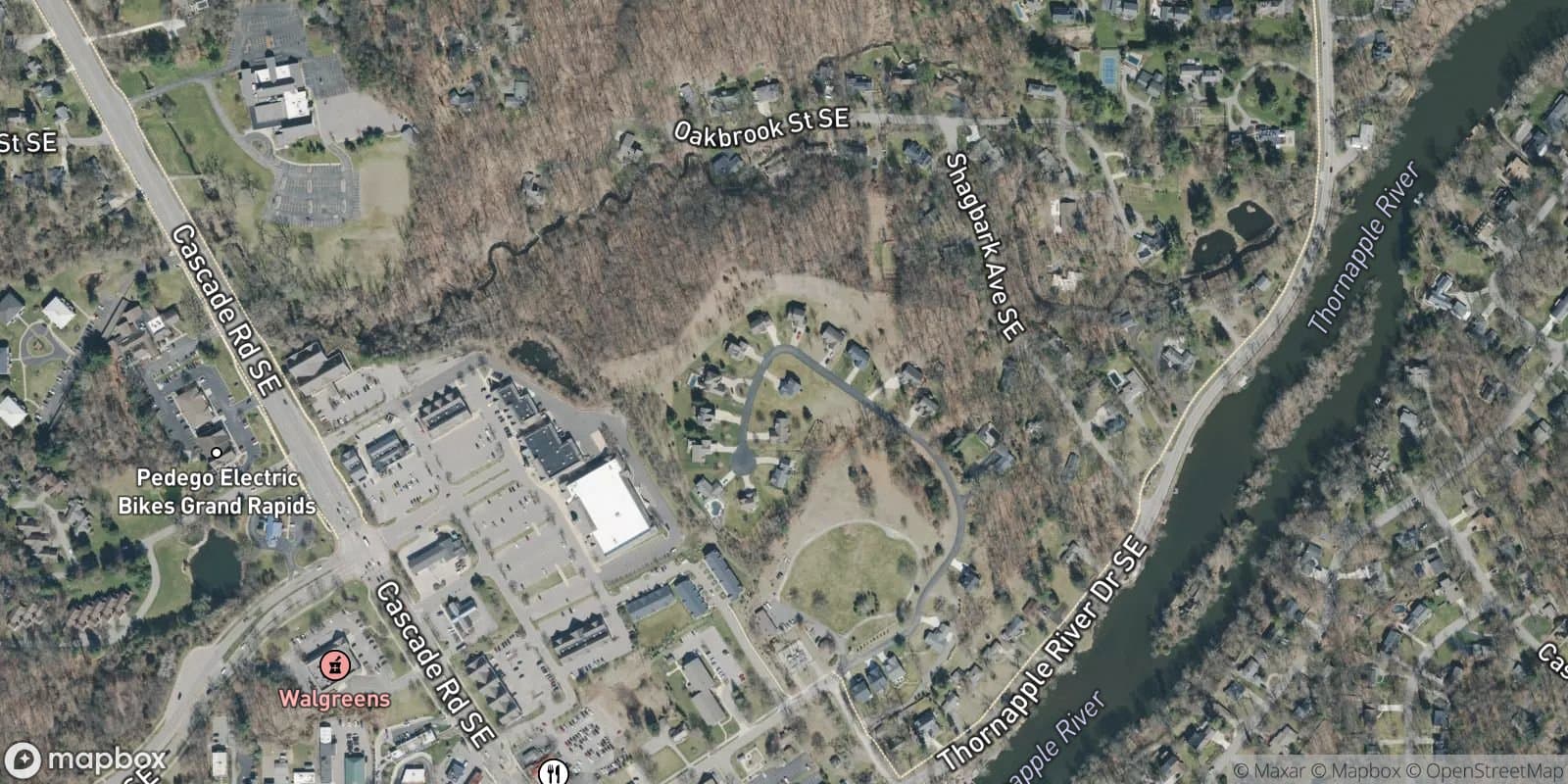 Thornapple Centre Site Condominiums — satellite view