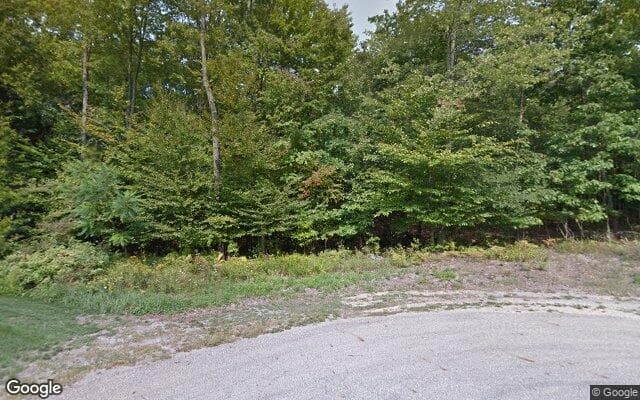 Port Sheldon Township — satellite view