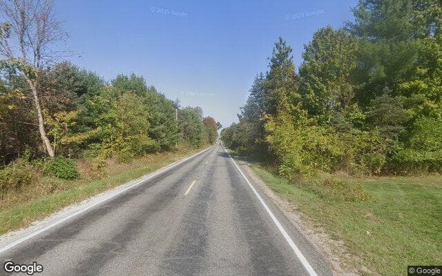 Algoma Township — satellite view