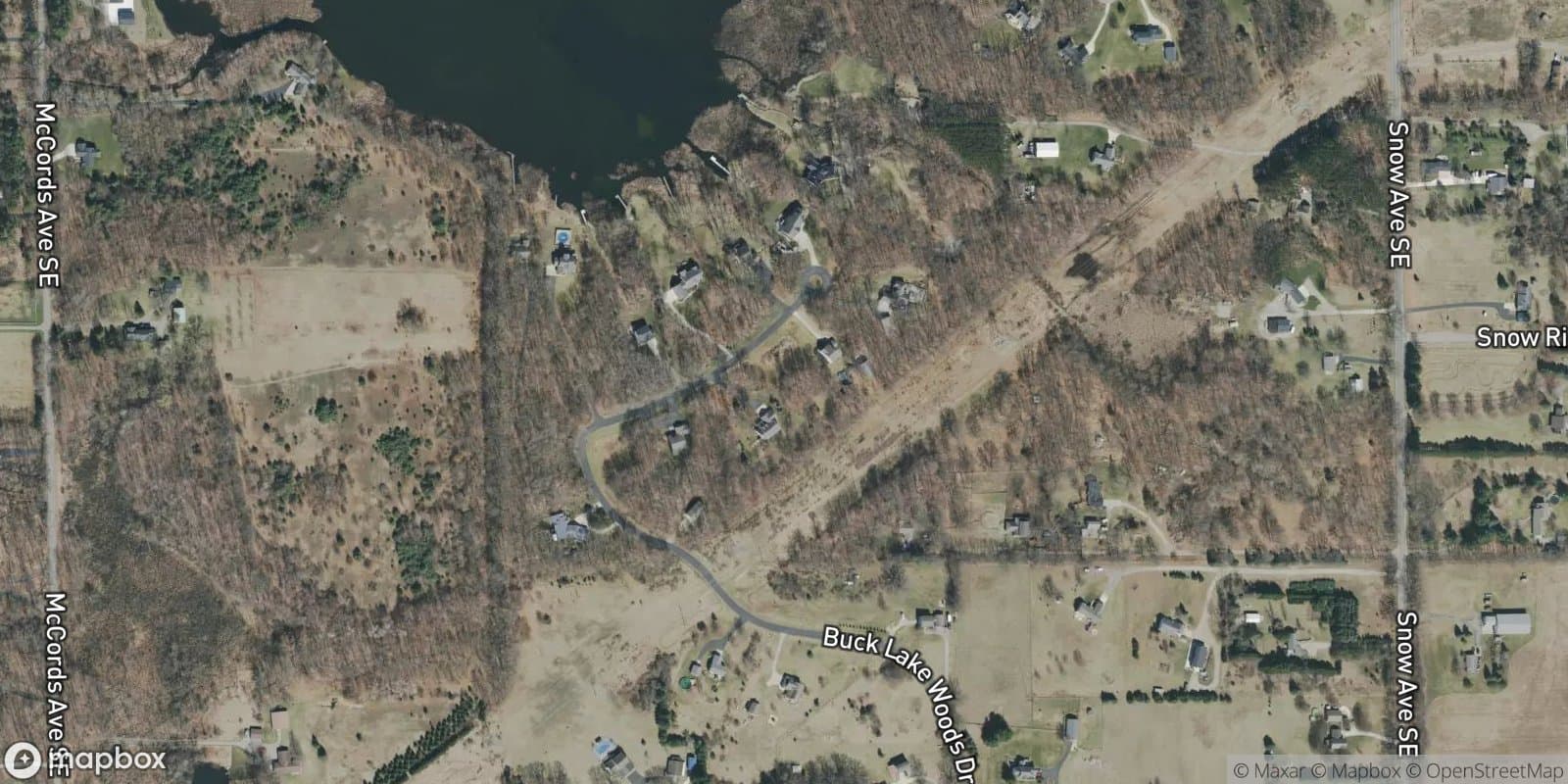 Buck Lake Woods — satellite view