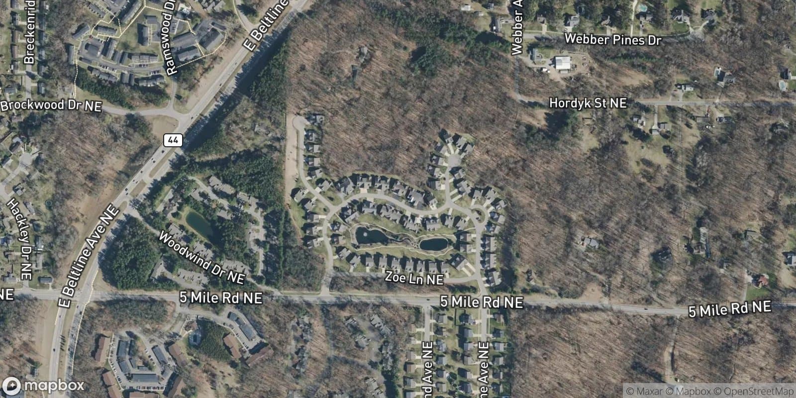 Koinonia Woods — satellite view