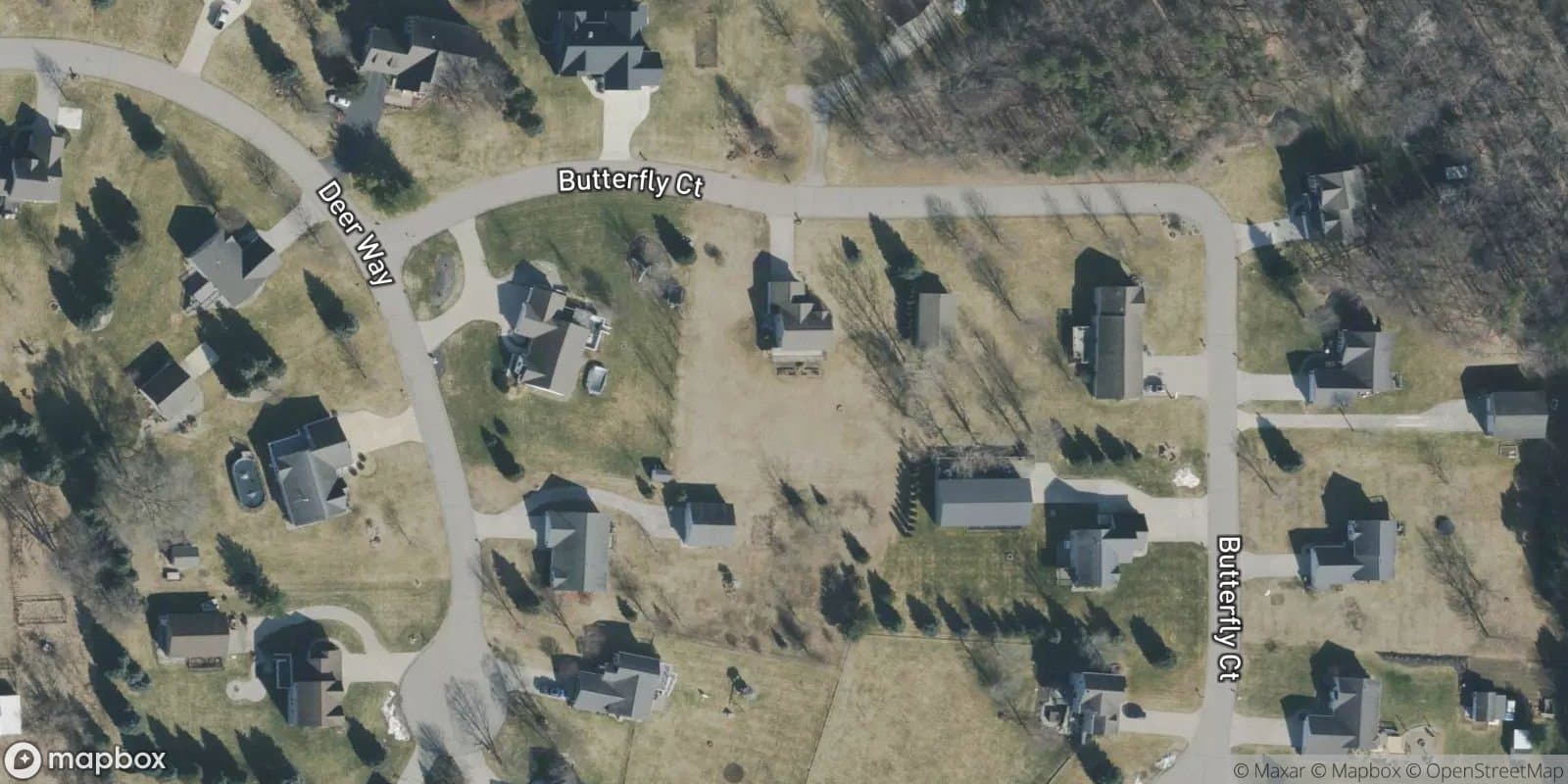 Woodbriar — satellite view