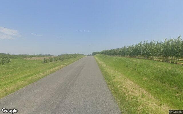 Alpine Township — satellite view